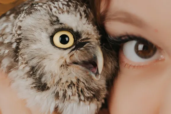 Casino B Bets Kundeservice